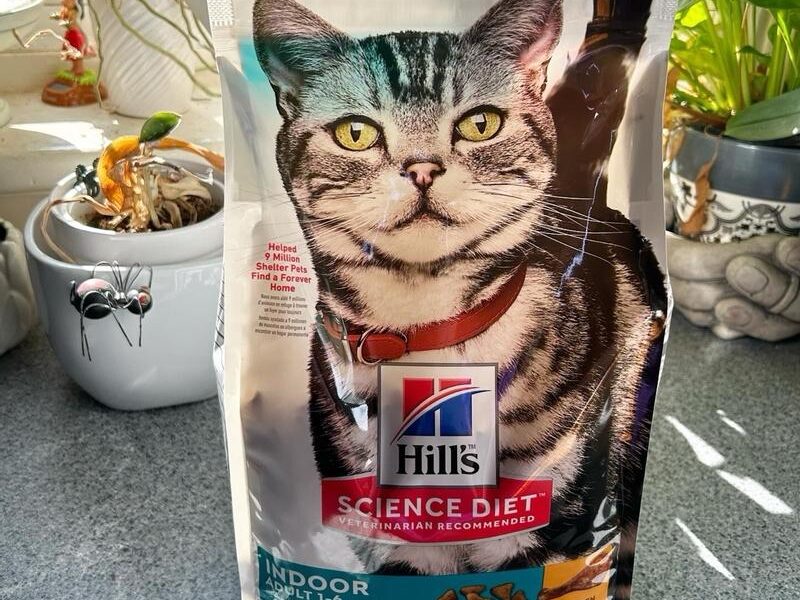 Hill's Science Diet Adult Indoor