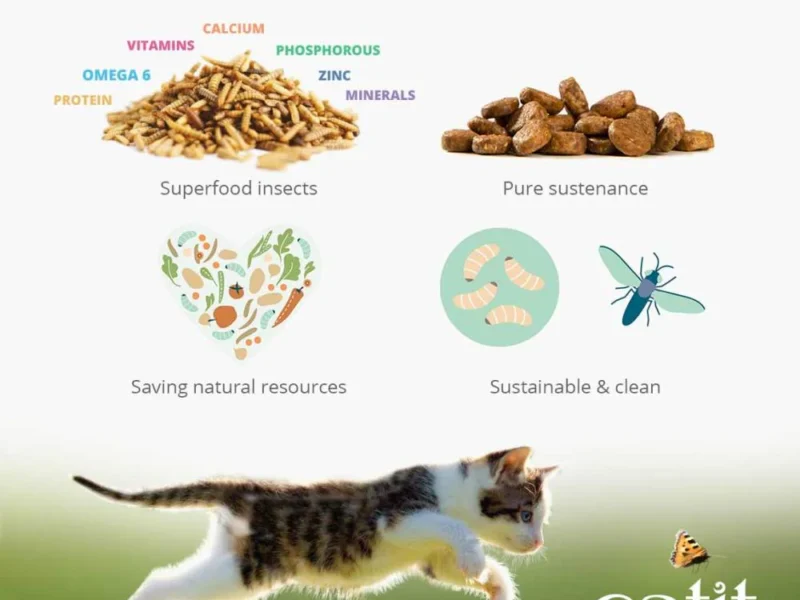 insektsbaserad kattmat