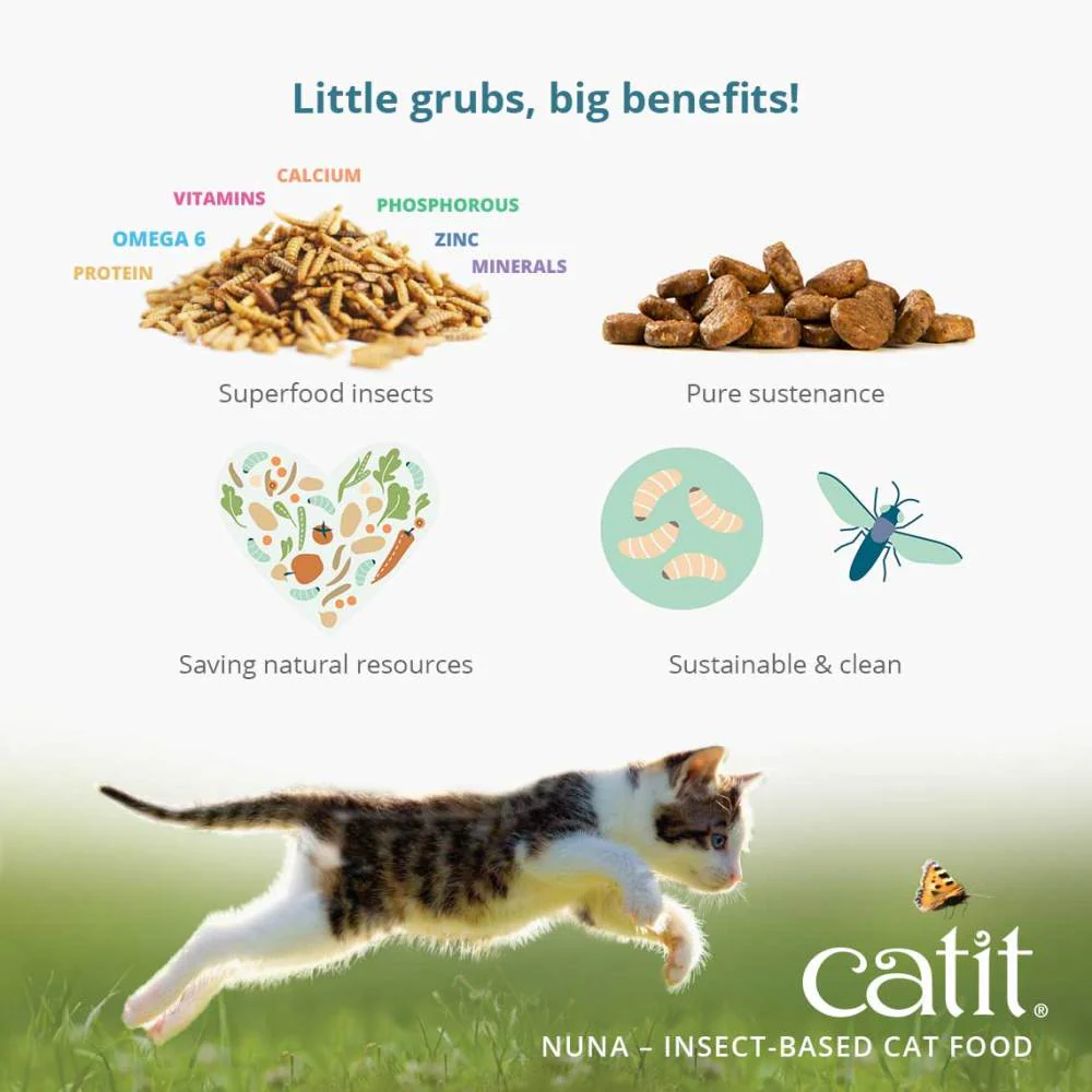 insektsbaserad kattmat